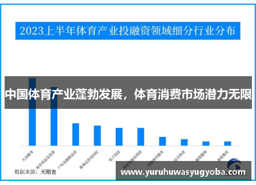 中国体育产业蓬勃发展，体育消费市场潜力无限